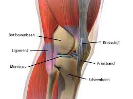 knieoperatie, knie operatie